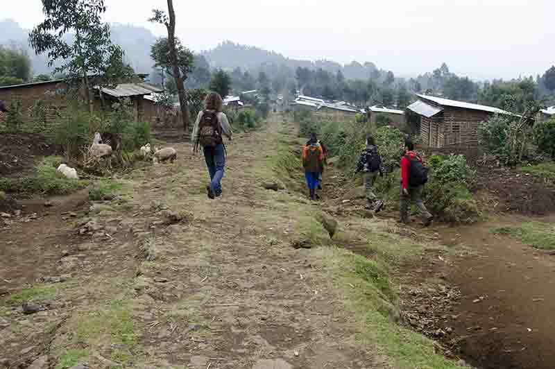 24 - Ruanda - parque nacional de los volcanes - paisaje